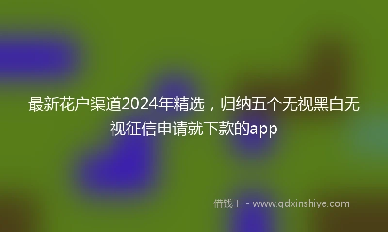 最新花户渠道2024年精选，归纳五个无视黑白无视征信申请就下款的app