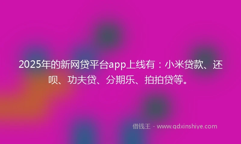 2025年的新网贷平台app上线有：小米贷款、还呗、功夫贷、分期乐、拍拍贷等。
