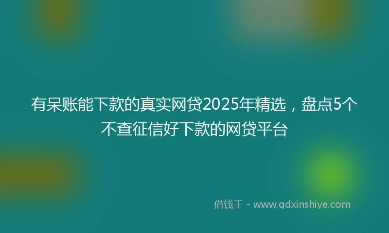 有呆账能下款的真实网贷2025年精选，盘点5个不查征信好下款的网贷平台