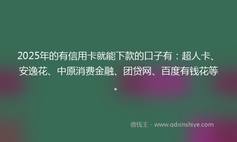 2025年的有信用卡就能下款的口子有：超人卡、安逸花、中原消费金融、团贷网、百度有钱花等。