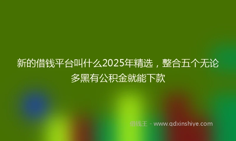 新的借钱平台叫什么2025年精选，整合五个无论多黑有公积金就能下款
