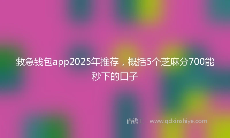 救急钱包app2025年推荐，概括5个芝麻分700能秒下的口子