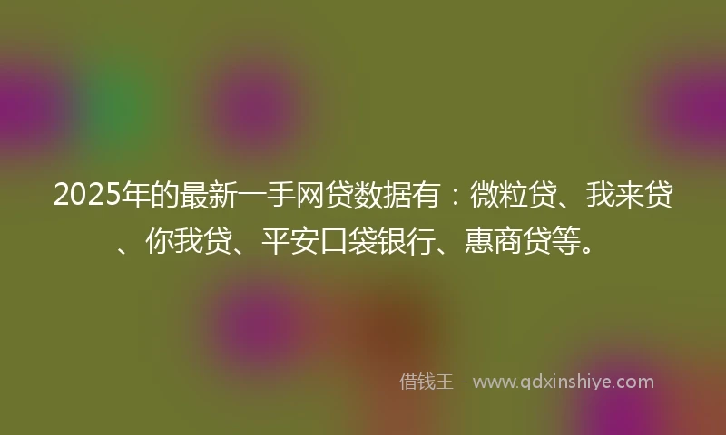 2025年的最新一手网贷数据有：微粒贷、我来贷、你我贷、平安口袋银行、惠商贷等。