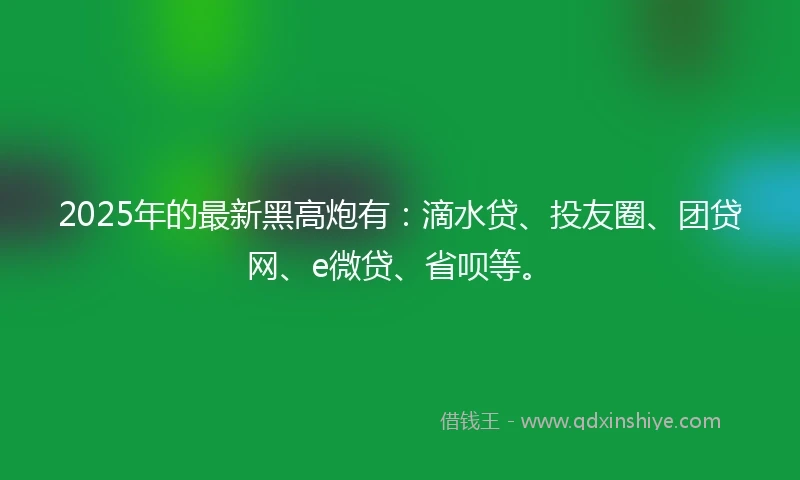 2025年的最新黑高炮有：滴水贷、投友圈、团贷网、e微贷、省呗等。
