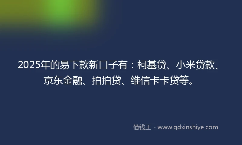 2025年的易下款新口子有：柯基贷、小米贷款、京东金融、拍拍贷、维信卡卡贷等。