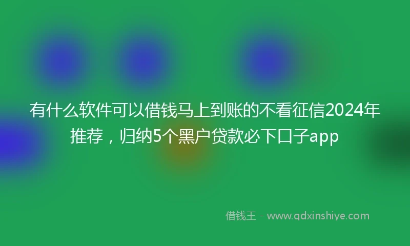 有什么软件可以借钱马上到账的不看征信2024年推荐,归纳5个黑户贷款必下口子app