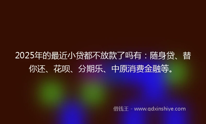 2025年的最近小贷都不放款了吗有：随身贷、替你还、花呗、分期乐、中原消费金融等。