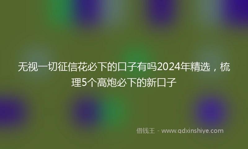 无视一切征信花必下的口子有吗2024年精选，梳理5个高炮必下的新口子