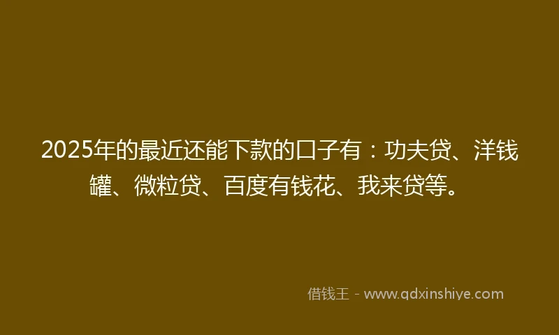 2025年的最近还能下款的口子有：功夫贷、洋钱罐、微粒贷、百度有钱花、我来贷等。