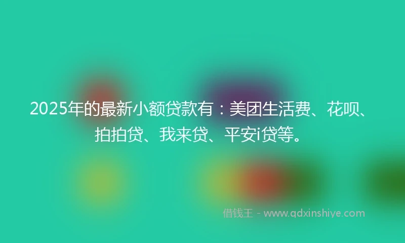 2025年的最新小额贷款有：美团生活费、花呗、拍拍贷、我来贷、平安i贷等。