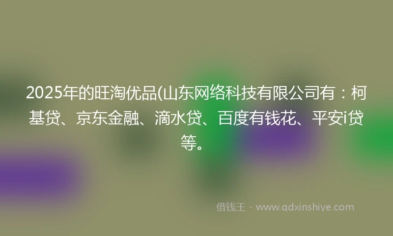 2025年的旺淘优品(山东网络科技有限公司有：柯基贷、京东金融、滴水贷、百度有钱花、平安i贷等。