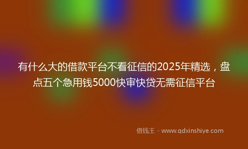有什么大的借款平台不看征信的2025年精选，盘点五个急用钱5000快审快贷无需征信平台