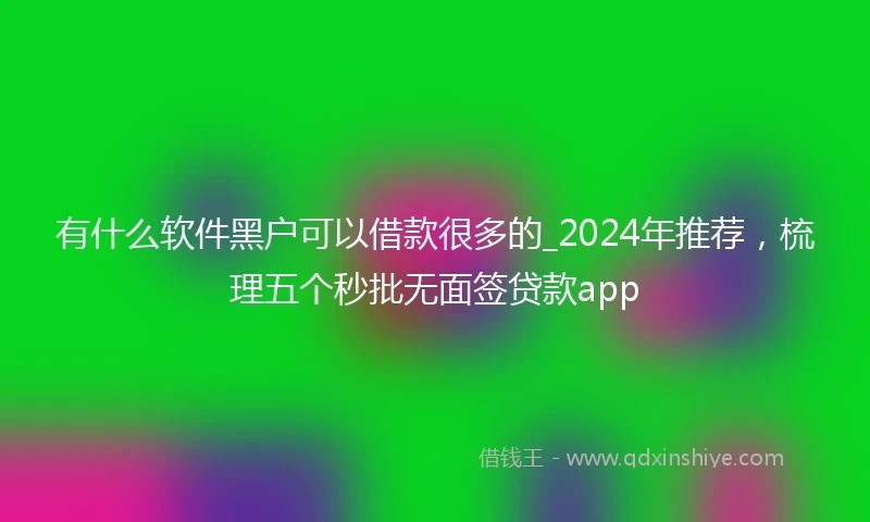 有什么软件黑户可以借款很多的_2024年推荐，梳理五个秒批无面签贷款app