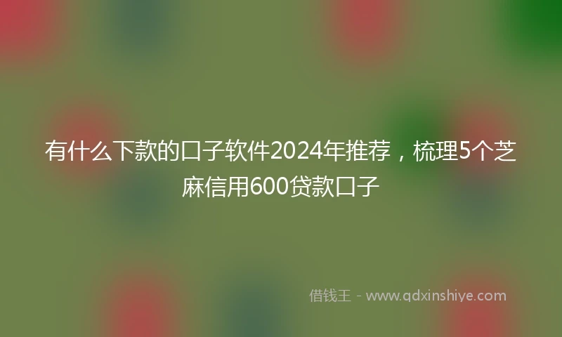 有什么下款的口子软件2024年推荐，梳理5个芝麻信用600贷款口子