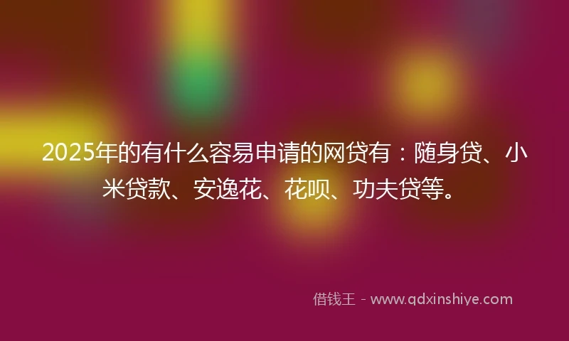 2025年的有什么容易申请的网贷有：随身贷、小米贷款、安逸花、花呗、功夫贷等。