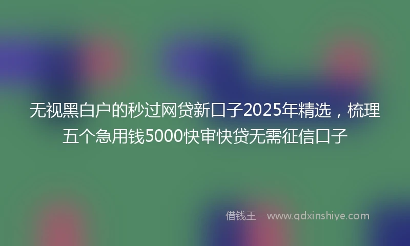 无视黑白户的秒过网贷新口子2025年精选，梳理五个急用钱5000快审快贷无需征信口子