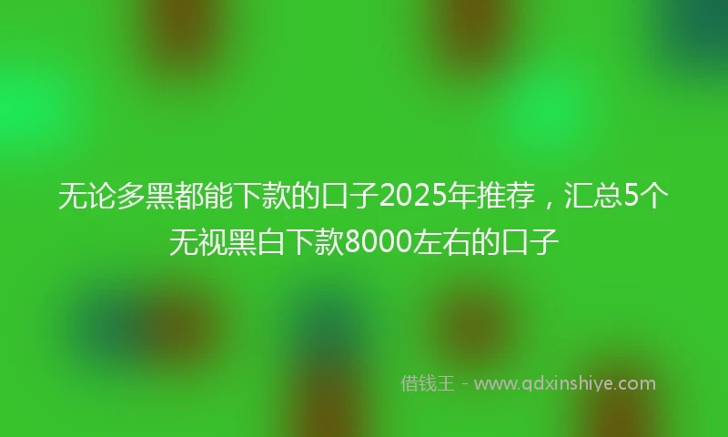 无论多黑都能下款的口子2025年推荐，汇总5个无视黑白下款8000左右的口子