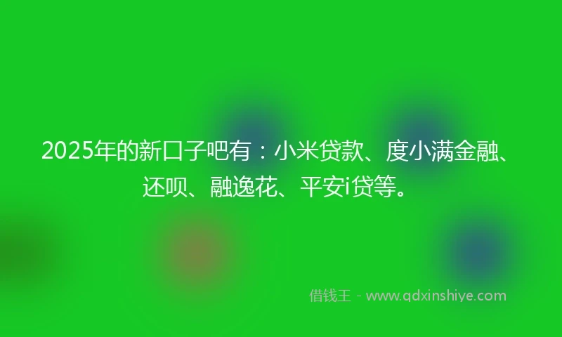 2025年的新口子吧有：小米贷款、度小满金融、还呗、融逸花、平安i贷等。