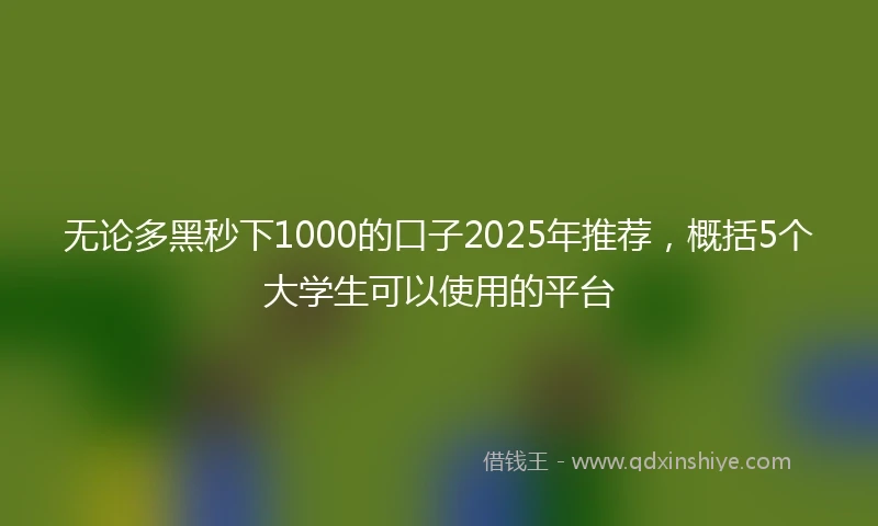 无论多黑秒下1000的口子2025年推荐，概括5个大学生可以使用的平台