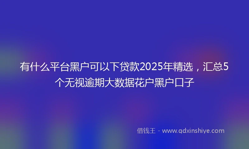 有什么平台黑户可以下贷款2025年精选，汇总5个无视逾期大数据花户黑户口子