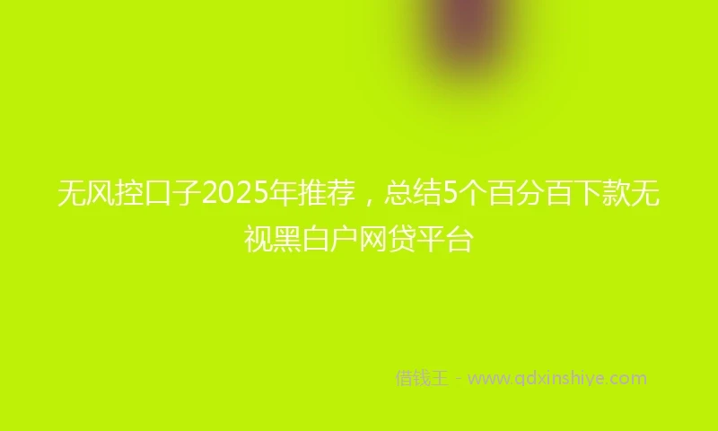 无风控口子2025年推荐，总结5个百分百下款无视黑白户网贷平台