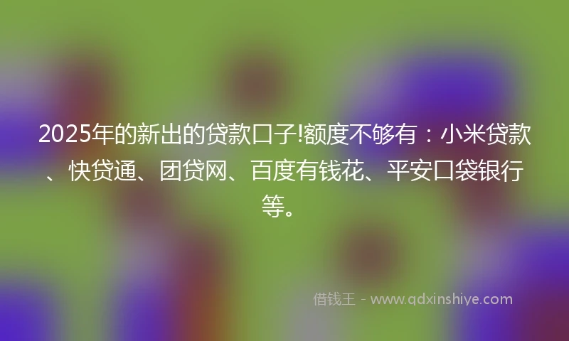 2025年的新出的贷款口子!额度不够有：小米贷款、快贷通、团贷网、百度有钱花、平安口袋银行等。