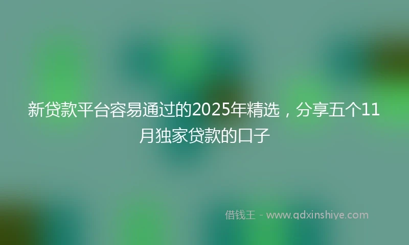 新贷款平台容易通过的2025年精选，分享五个11月独家贷款的口子
