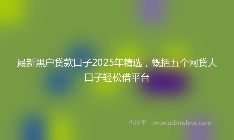 最新黑户贷款口子2025年精选，概括五个网贷大口子轻松借平台