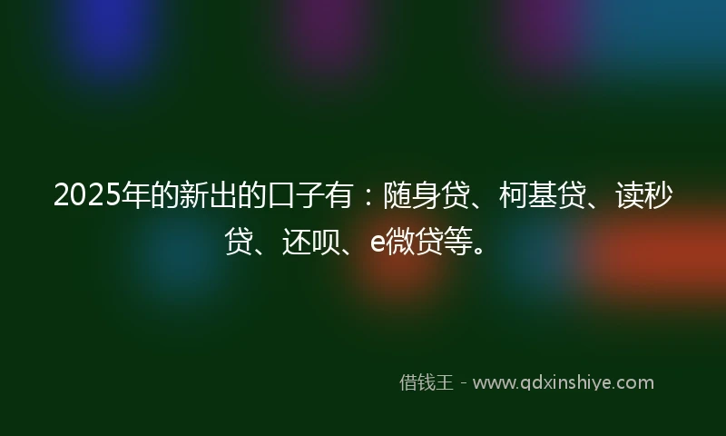 2025年的新出的口子有：随身贷、柯基贷、读秒贷、还呗、e微贷等。