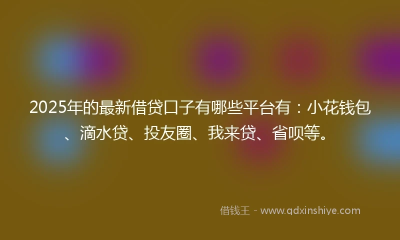 2025年的最新借贷口子有哪些平台有：小花钱包、滴水贷、投友圈、我来贷、省呗等。