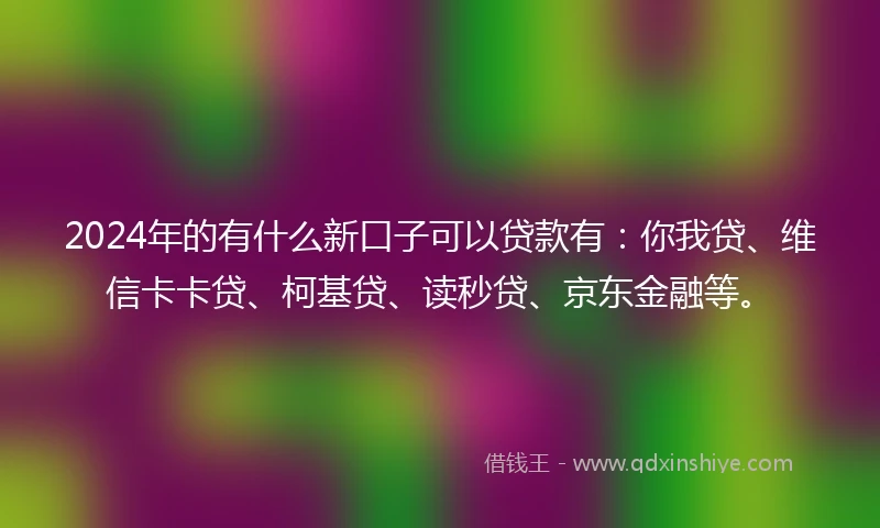 2024年的有什么新口子可以贷款有：你我贷、维信卡卡贷、柯基贷、读秒贷、京东金融等。