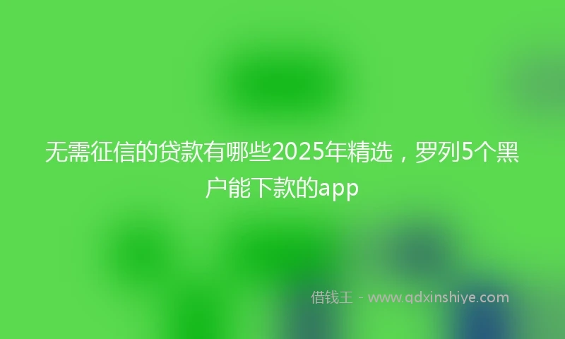 无需征信的贷款有哪些2025年精选，罗列5个黑户能下款的app