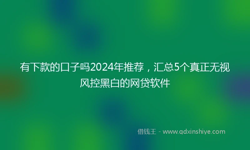 有下款的口子吗2024年推荐,汇总5个真正无视风控黑白的网贷软件