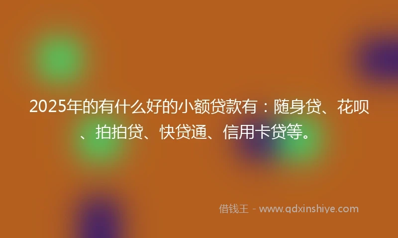2025年的有什么好的小额贷款有：随身贷、花呗、拍拍贷、快贷通、信用卡贷等。