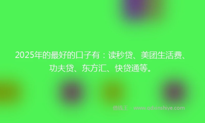 2025年的最好的口子有：读秒贷、美团生活费、功夫贷、东方汇、快贷通等。
