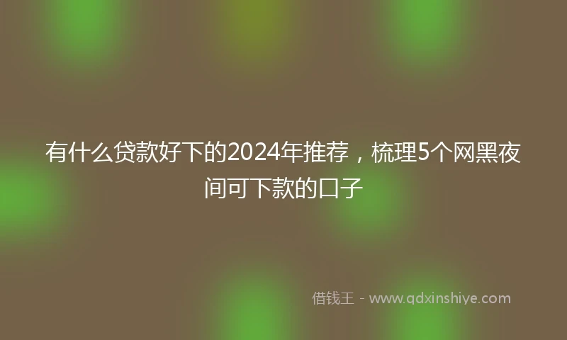 有什么贷款好下的2024年推荐，梳理5个网黑夜间可下款的口子