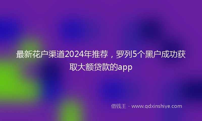 最新花户渠道2024年推荐，罗列5个黑户成功获取大额贷款的app