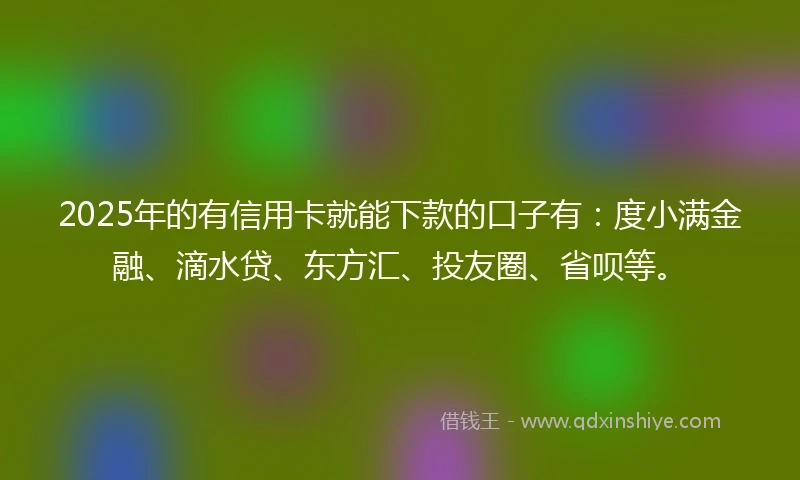 2025年的有信用卡就能下款的口子有：度小满金融、滴水贷、东方汇、投友圈、省呗等。