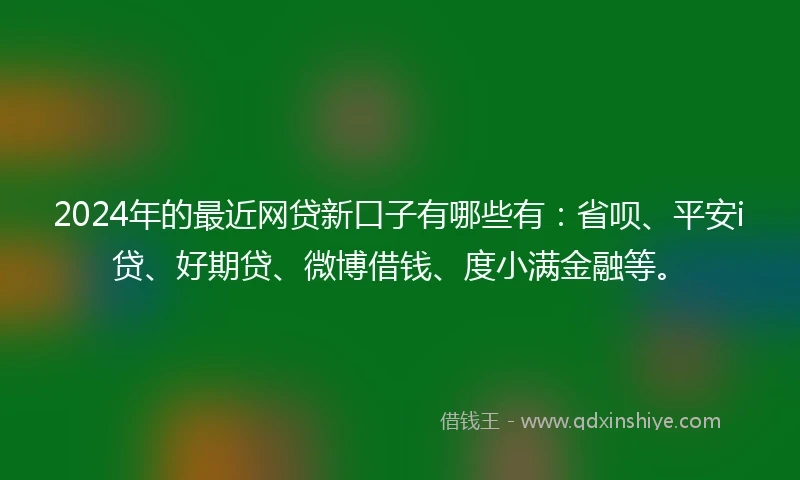 2024年的最近网贷新口子有哪些有：省呗、平安i贷、好期贷、微博借钱、度小满金融等。