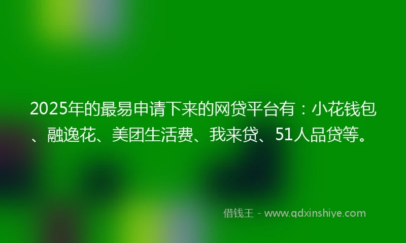 2025年的最易申请下来的网贷平台有：小花钱包、融逸花、美团生活费、我来贷、51人品贷等。