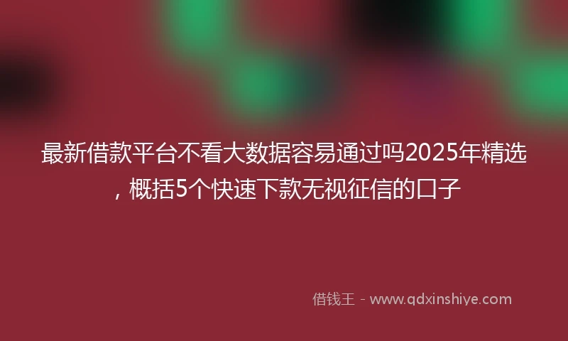 最新借款平台不看大数据容易通过吗2025年精选，概括5个快速下款无视征信的口子