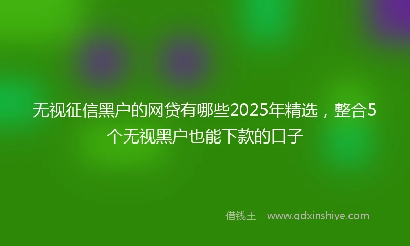 无视征信黑户的网贷有哪些2025年精选，整合5个无视黑户也能下款的口子