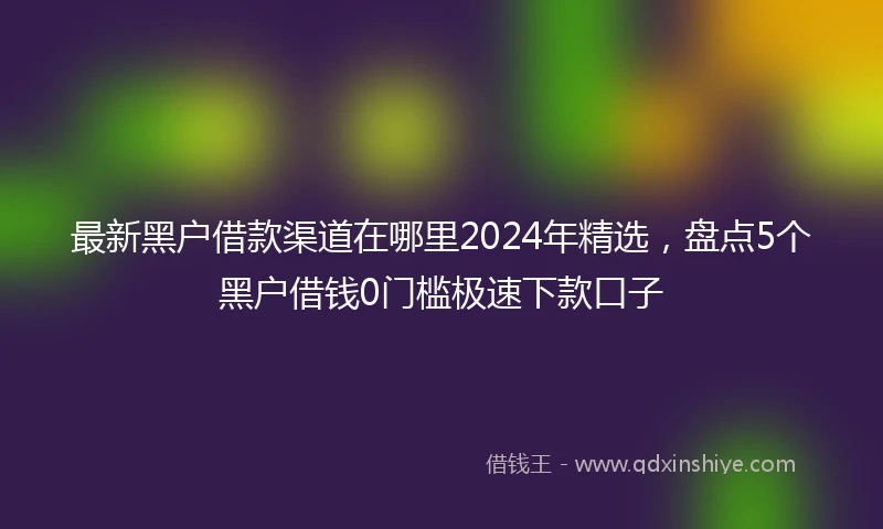 最新黑户借款渠道在哪里2024年精选，盘点5个黑户借钱0门槛极速下款口子