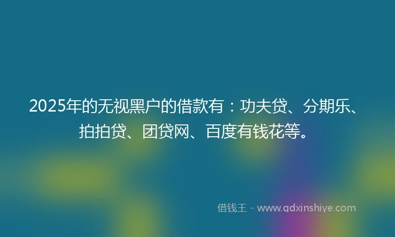 2025年的无视黑户的借款有：功夫贷、分期乐、拍拍贷、团贷网、百度有钱花等。