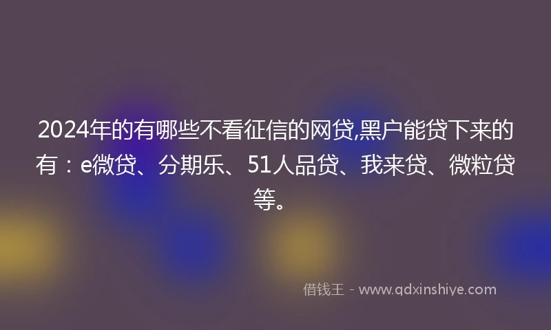 2024年的有哪些不看征信的网贷,黑户能贷下来的有：e微贷、分期乐、51人品贷、我来贷、微粒贷等。