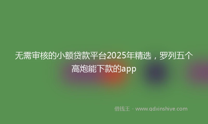 无需审核的小额贷款平台2025年精选，罗列五个高炮能下款的app