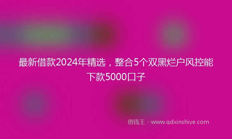 最新借款2024年精选，整合5个双黑烂户风控能下款5000口子