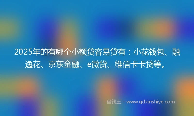 2025年的有哪个小额贷容易贷有：小花钱包、融逸花、京东金融、e微贷、维信卡卡贷等。