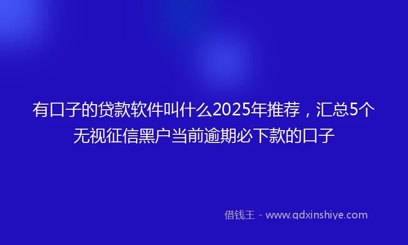 有口子的贷款软件叫什么2025年推荐，汇总5个无视征信黑户当前逾期必下款的口子