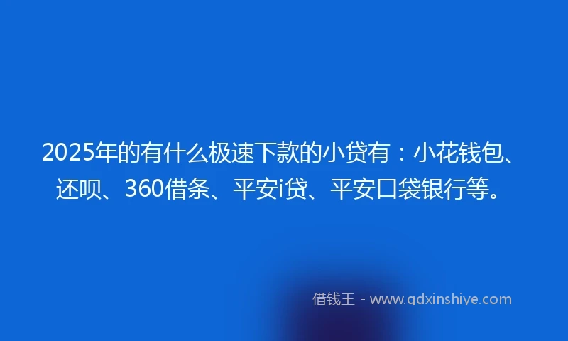 2025年的有什么极速下款的小贷有：小花钱包、还呗、360借条、平安i贷、平安口袋银行等。